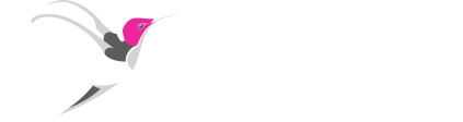 Quirkybird.shop - Affordable quirkyness